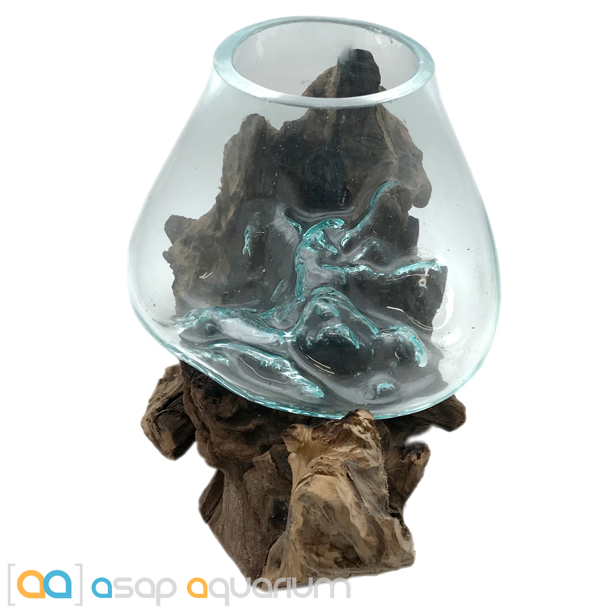 Betta Fish Bowl Unique Molten Glass on Teak Driftwood M215