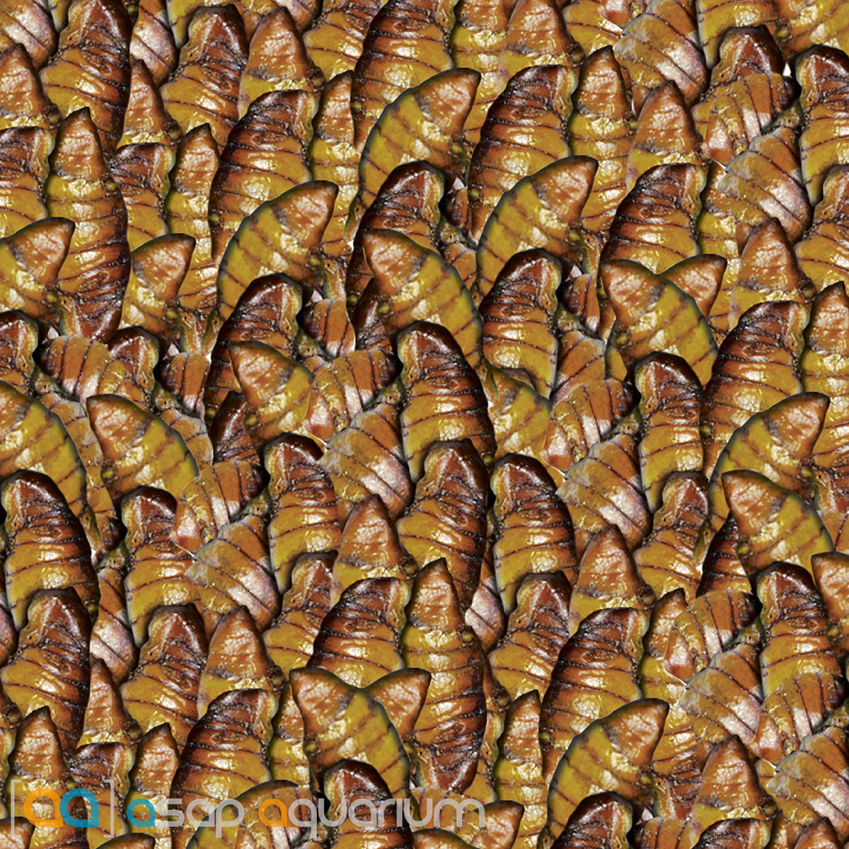 sera Koi Silkworm Nature 1000 ml 330 g