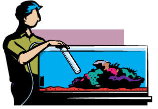 How to Keep a Reef Aquarium Maintenance Schedule