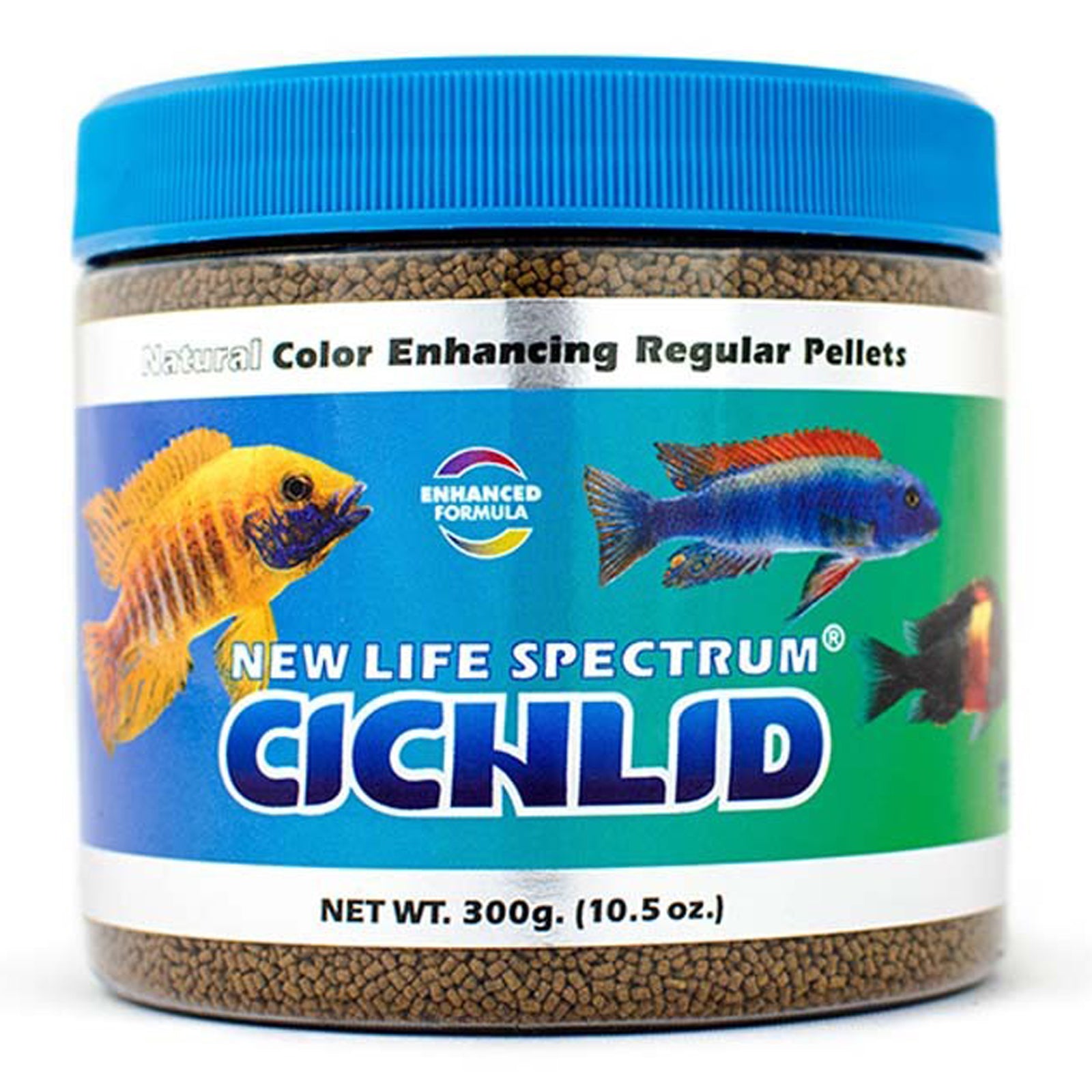 colorful cichlid