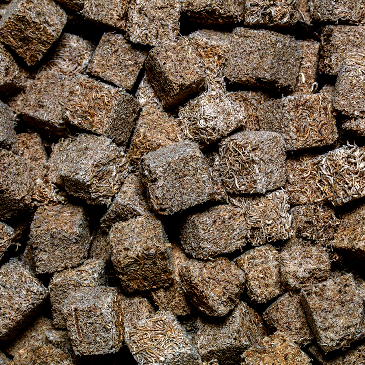Freeze dried tubifex worms sale