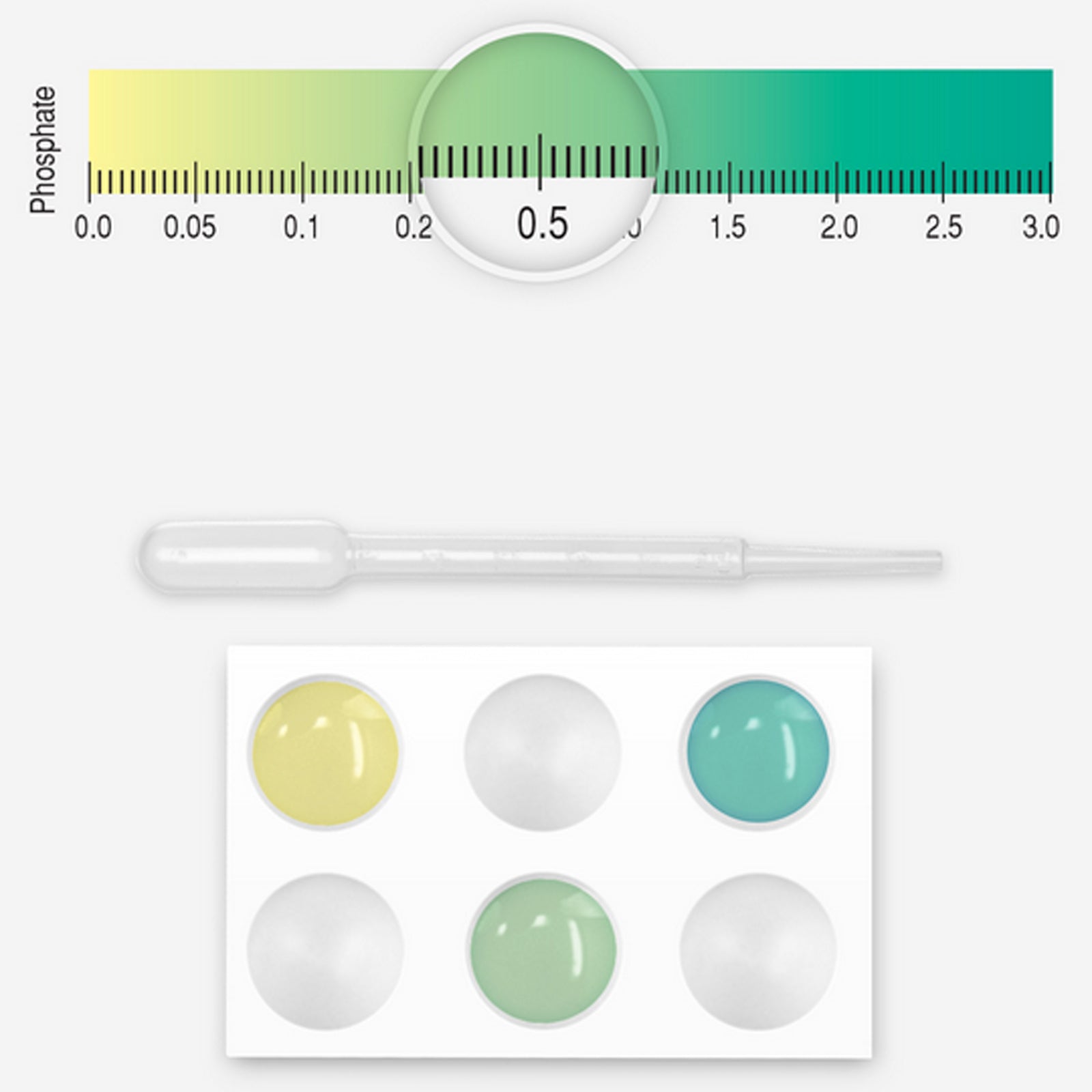 Seachem test kit new arrivals